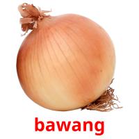 bawang picture flashcards