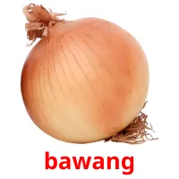 bawang cartes flash