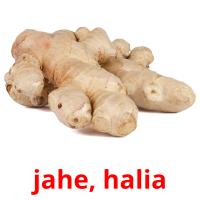 jahe, halia card for translate