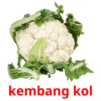 kembang kol cartes flash