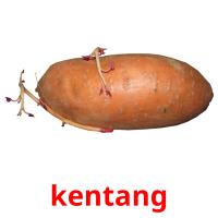 kentang card for translate