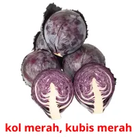 kol merah, kubis merah cartes flash