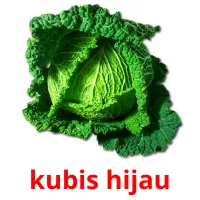 kubis hijau cartes flash