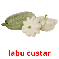 labu custar cartes flash