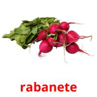 rabanete picture flashcards