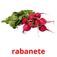 rabanete cartes flash