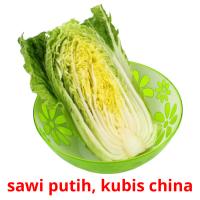 sawi putih, kubis china card for translate