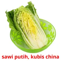 sawi putih, kubis china cartes flash