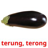 terung, terong picture flashcards
