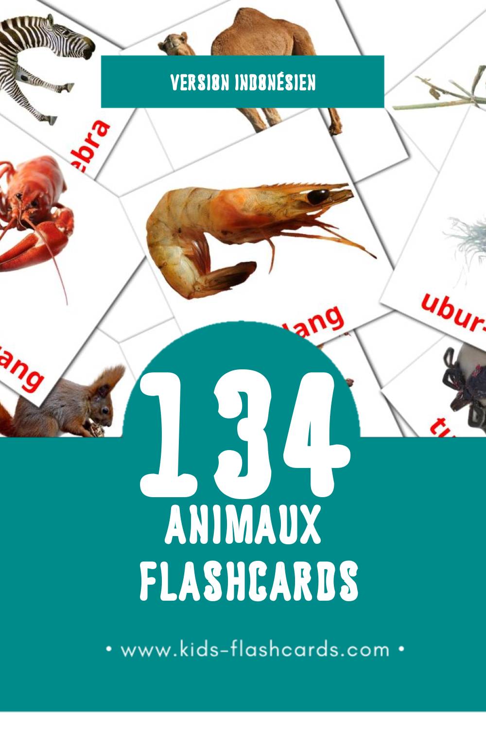 Flashcards Visual Binatang pour les tout-petits (134 cartes en Indonésien)