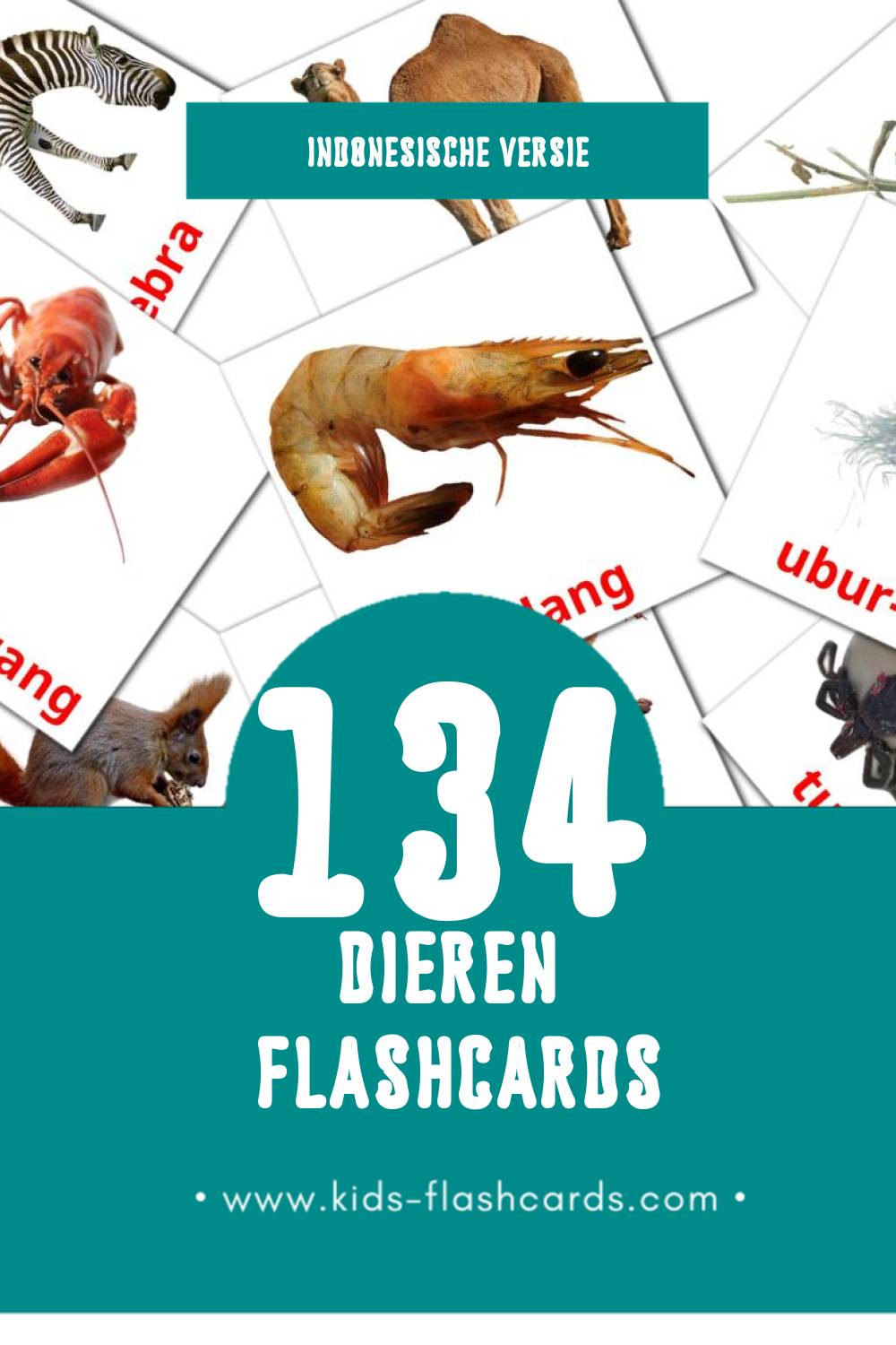Visuele Binatang Flashcards voor Kleuters (134 kaarten in het Indonesisch)