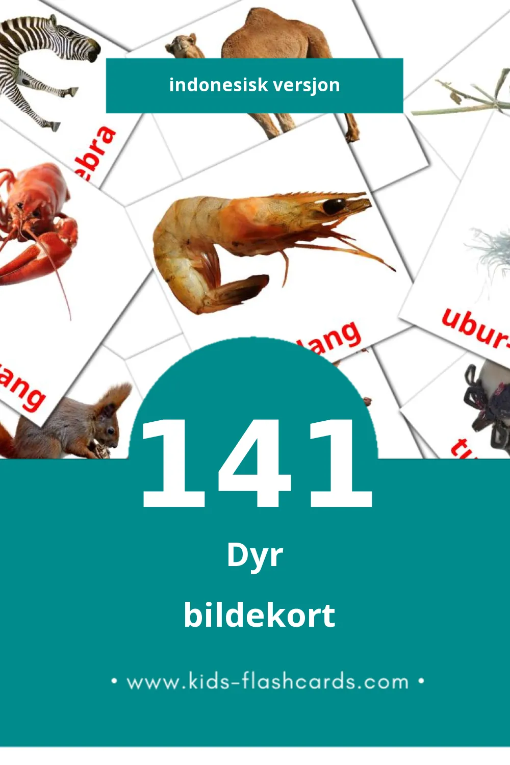 Visuelle Binatang bildekort for småbarn (141 kort på Indonesisk)