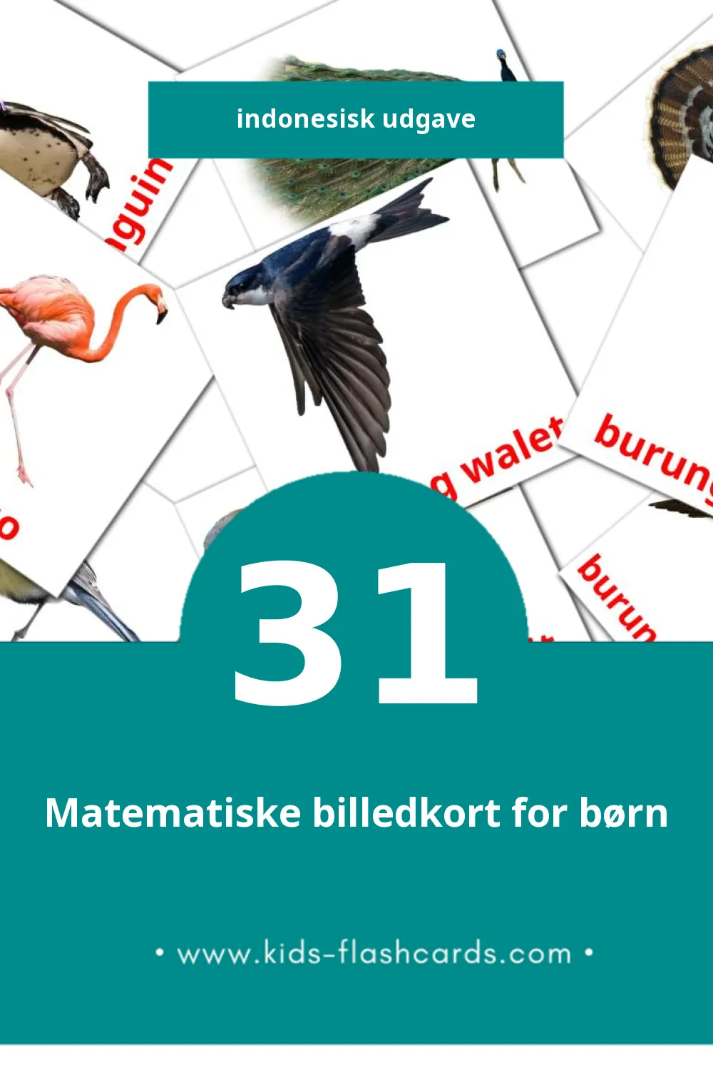 Visuelle billedkort for børn om Burung til småbørn (31 kort på Indonesisk)