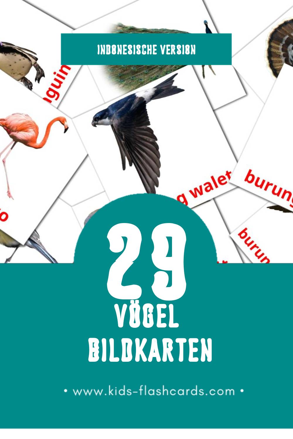 Visual Burung Flashcards für Kleinkinder (29 Karten in Indonesisch)