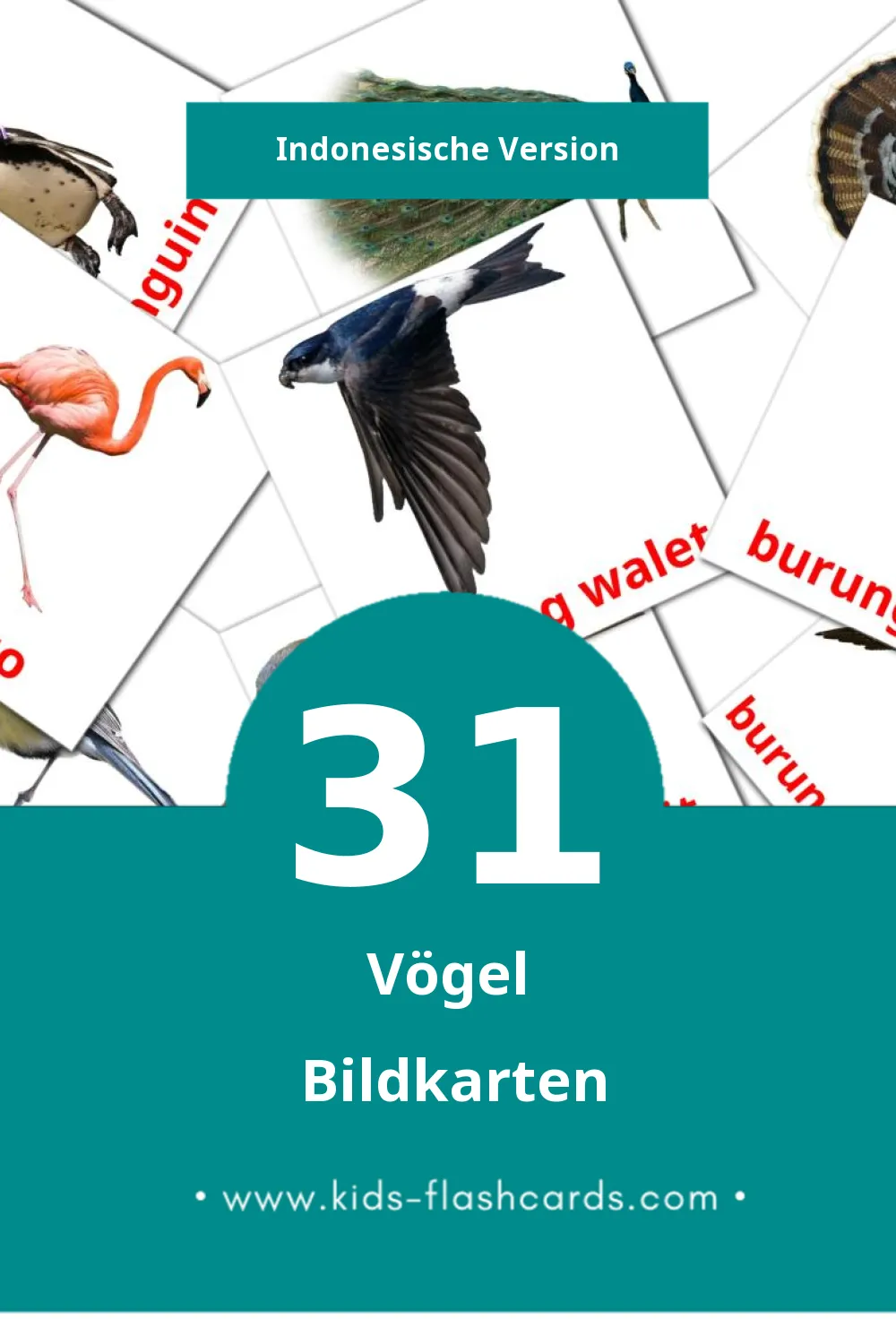 Visual Burung Flashcards für Kleinkinder (31 Karten in Indonesisch)