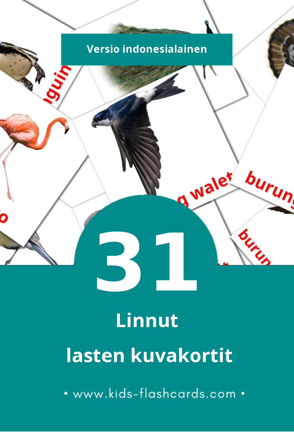 Burung lasten kuvakortit pikkulapsille (31 korttia Indonesialaiseksi)