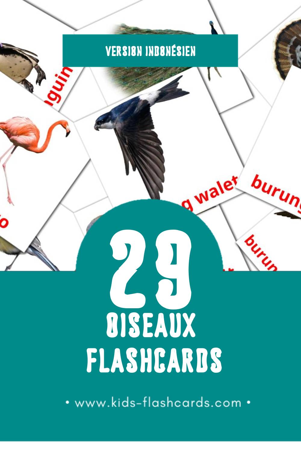 Flashcards Visual Burung pour les tout-petits (29 cartes en Indonésien)