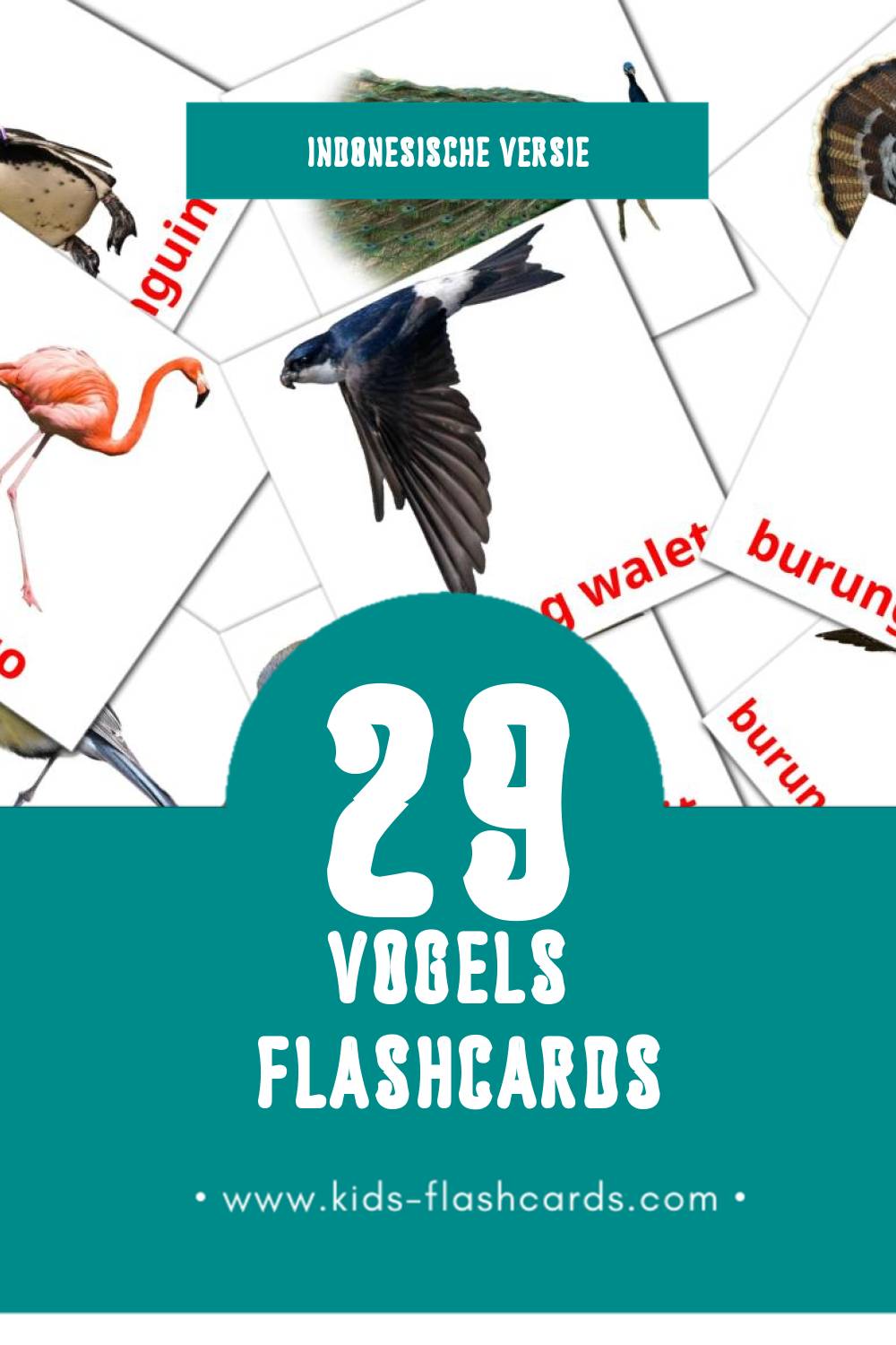Visuele Burung Flashcards voor Kleuters (29 kaarten in het Indonesisch)