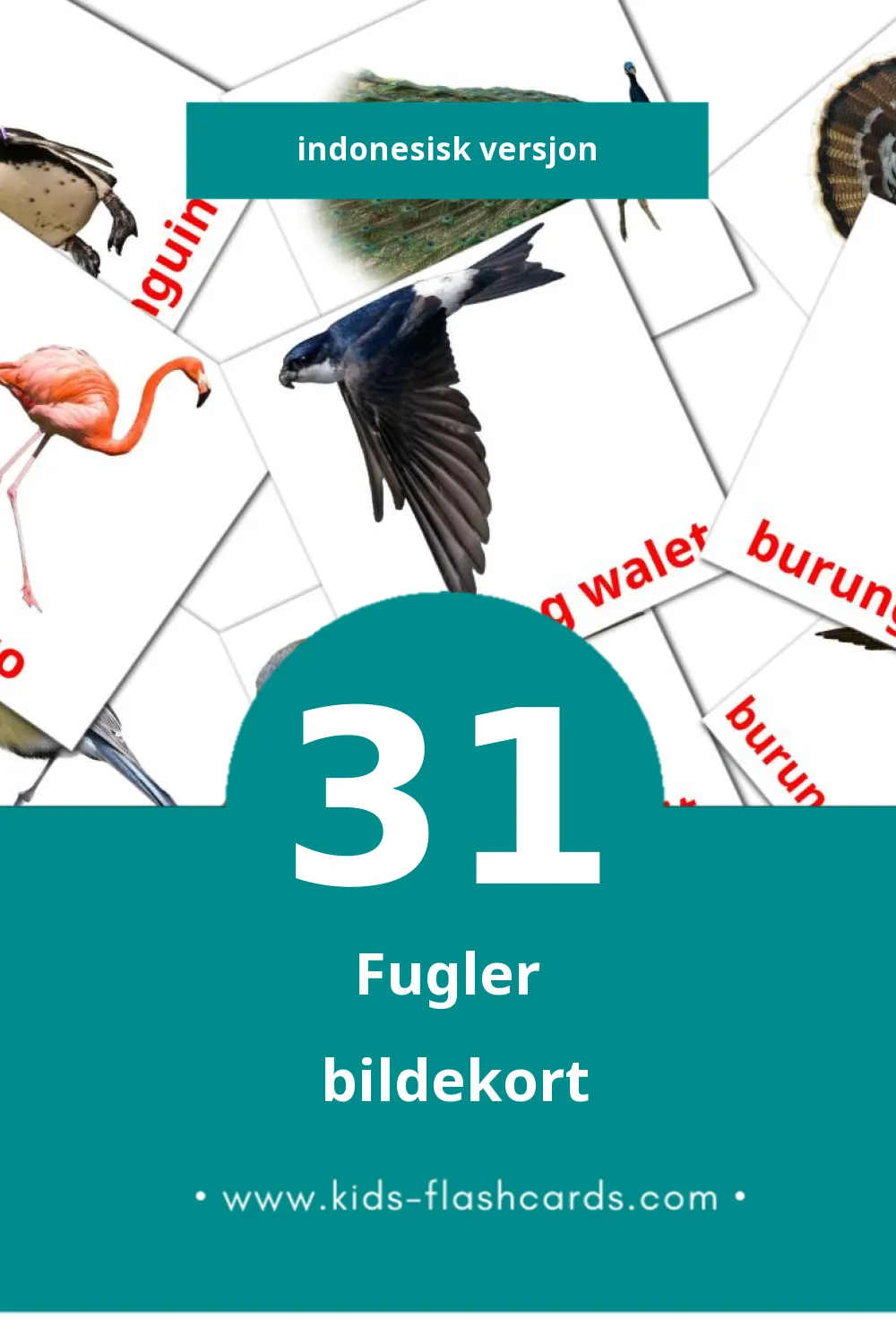 Visuelle Burung bildekort for småbarn (31 kort på Indonesisk)
