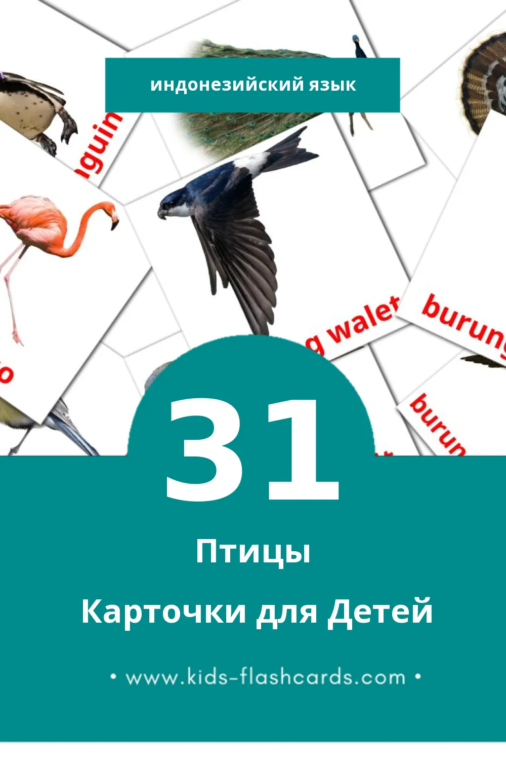 "Burung" - Визуальный Индонезийском Словарь для Малышей (31 картинок)