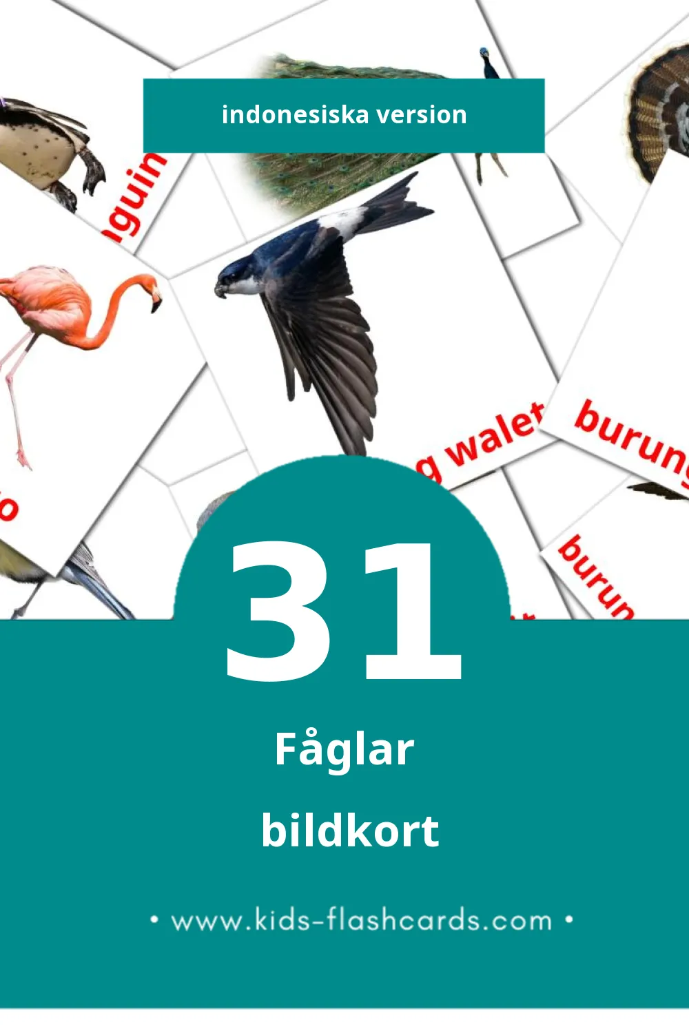Visuella Burung för småbarn (31 bildkort för barn på Indonesiska)