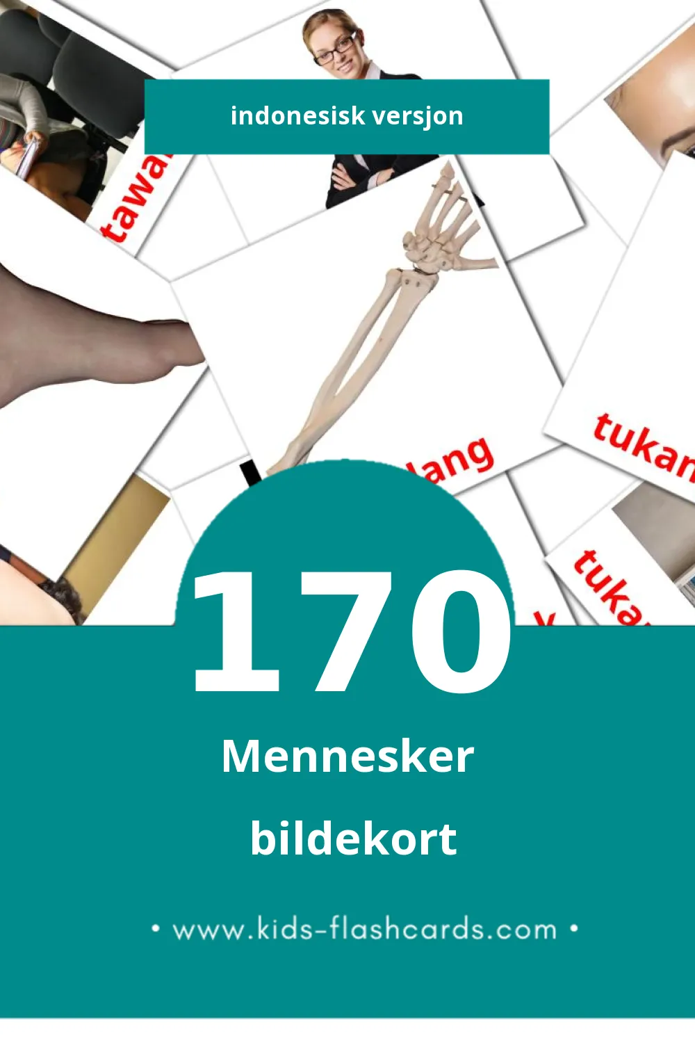 Visuelle Orang bildekort for småbarn (170 kort på Indonesisk)