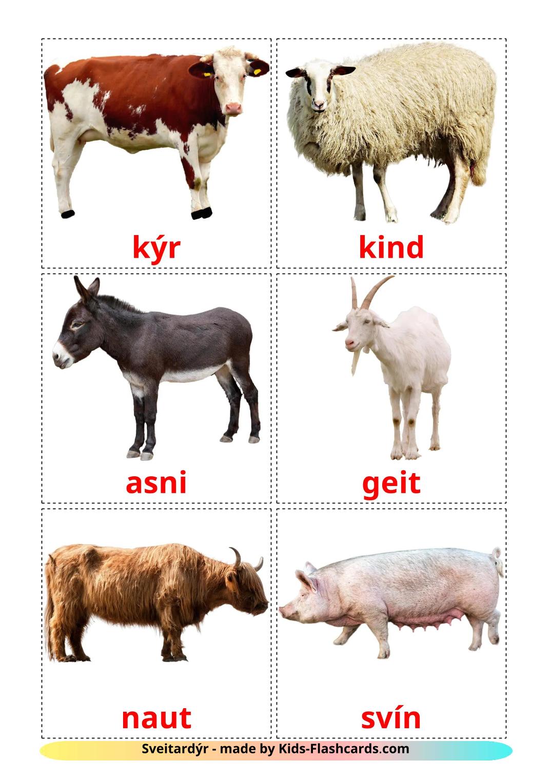 Maatilan linnut – 16 ilmainen tulostettava lasten kuvakortti islantilaiseksi