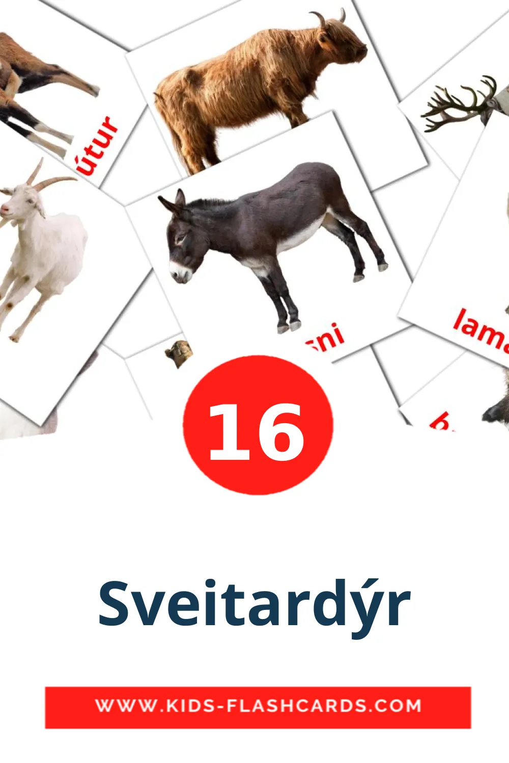 16 Sveitardýr lasten kuvakortti päiväkodille islantilaiseksi