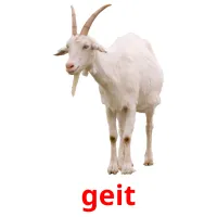 geit kuvakortit