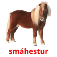 smáhestur kuvakortit