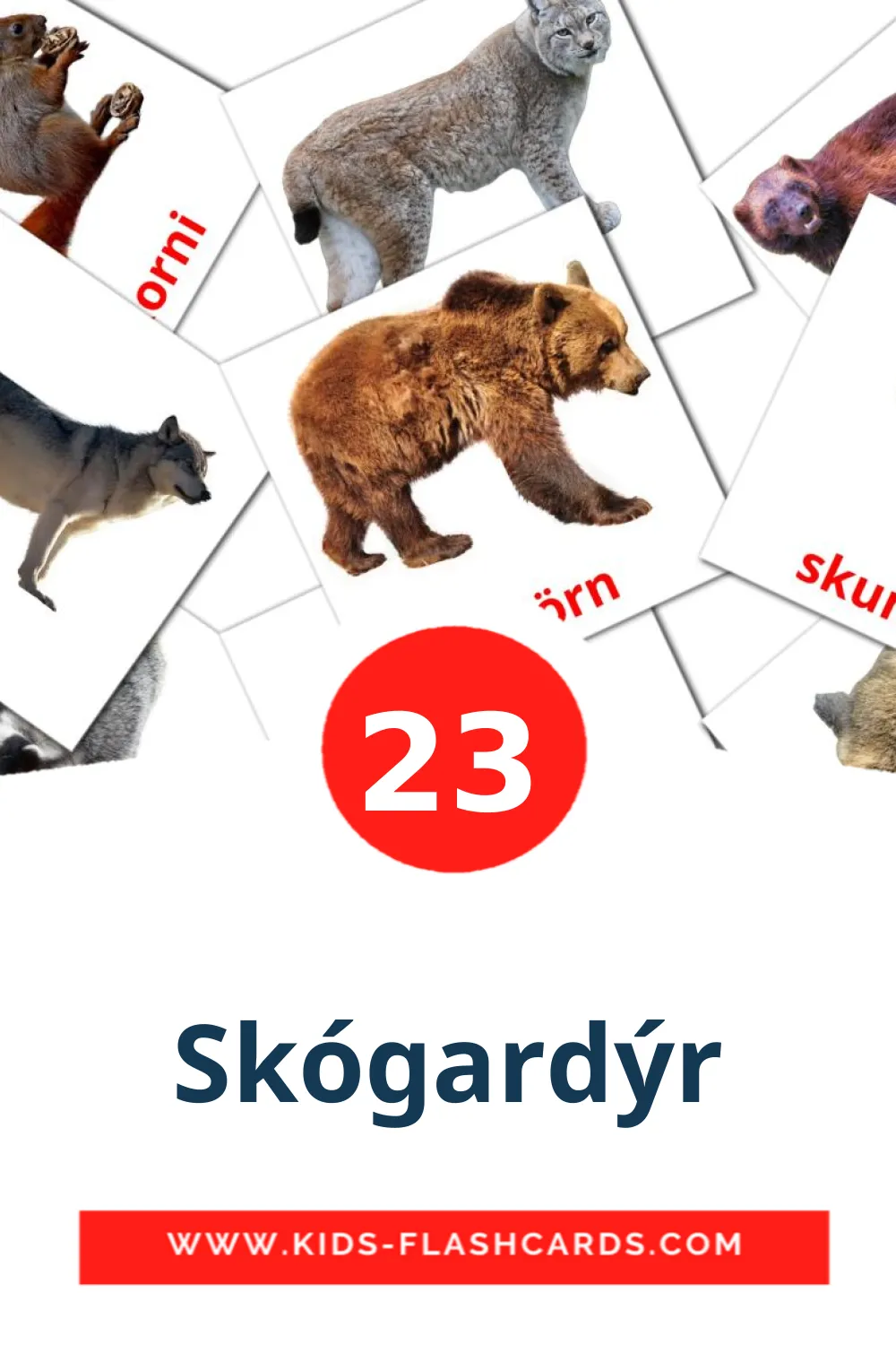 23 bildkort med Skógardýr för barnträdgården på isländska