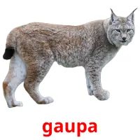 gaupa bildkort för barn