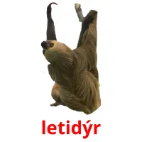 letidýr bildkort för barn