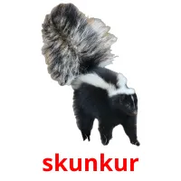 skunkur bildkort för barn