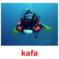 kafa cartões com imagens