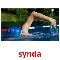 synda cartões com imagens