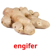 engifer billedkort for børn med billeder