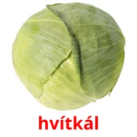 hvítkál billedkort for børn med billeder