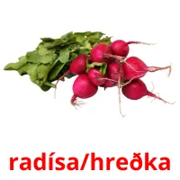 radísa/hreðka billedkort for børn med billeder