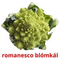 romanesco blómkál billedkort for børn med billeder
