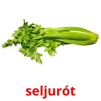 seljurót billedkort for børn med billeder