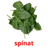 spínat billedkort for børn med billeder
