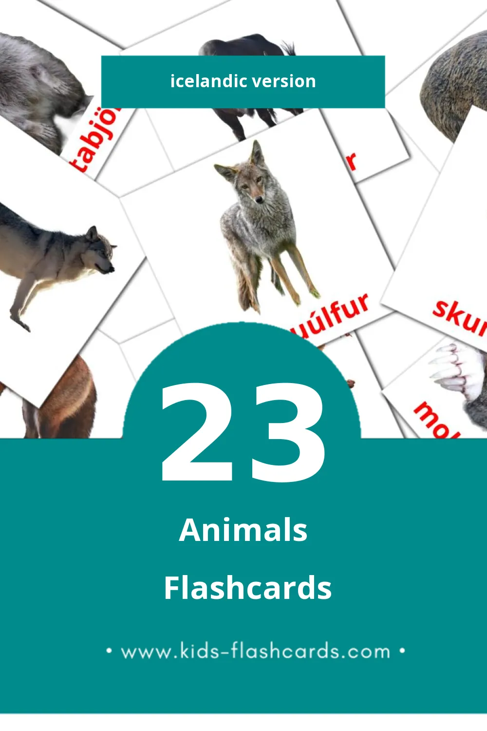 Visual Dýr Flashcards for Toddlers (23 cards in Icelandic)