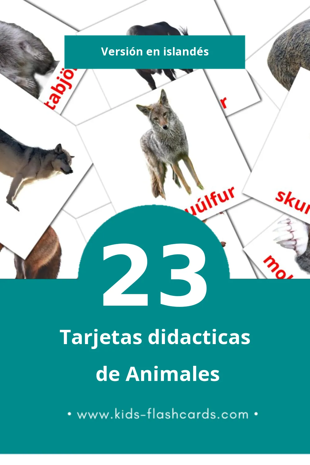 Tarjetas visuales de Dýr para niños pequeños (23 tarjetas en Islandés)