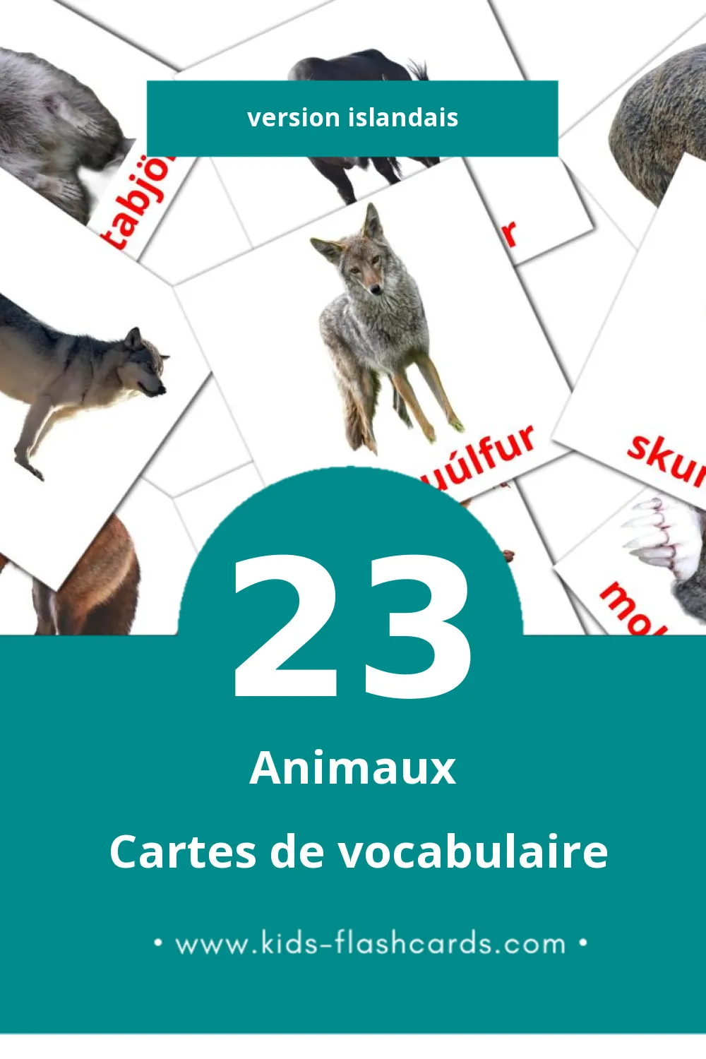 Cartes de vocabulaire Visuelles Dýr pour les Tout-Petits (23 Cartes en Islandais)