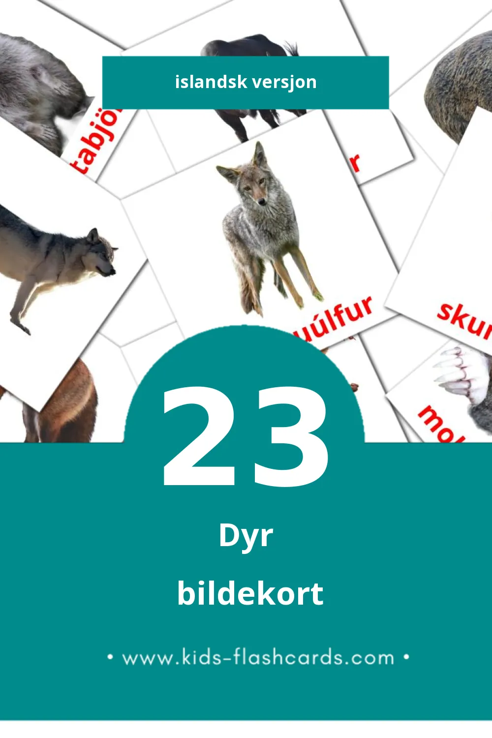 Visuelle Dýr bildekort for småbarn (23 kort på Islandsk)