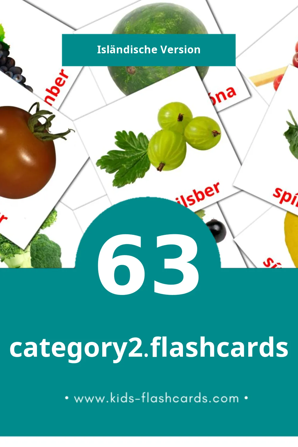 Visual Matur Bildkarten für Kleinkinder (63 Karten in Isländisch)