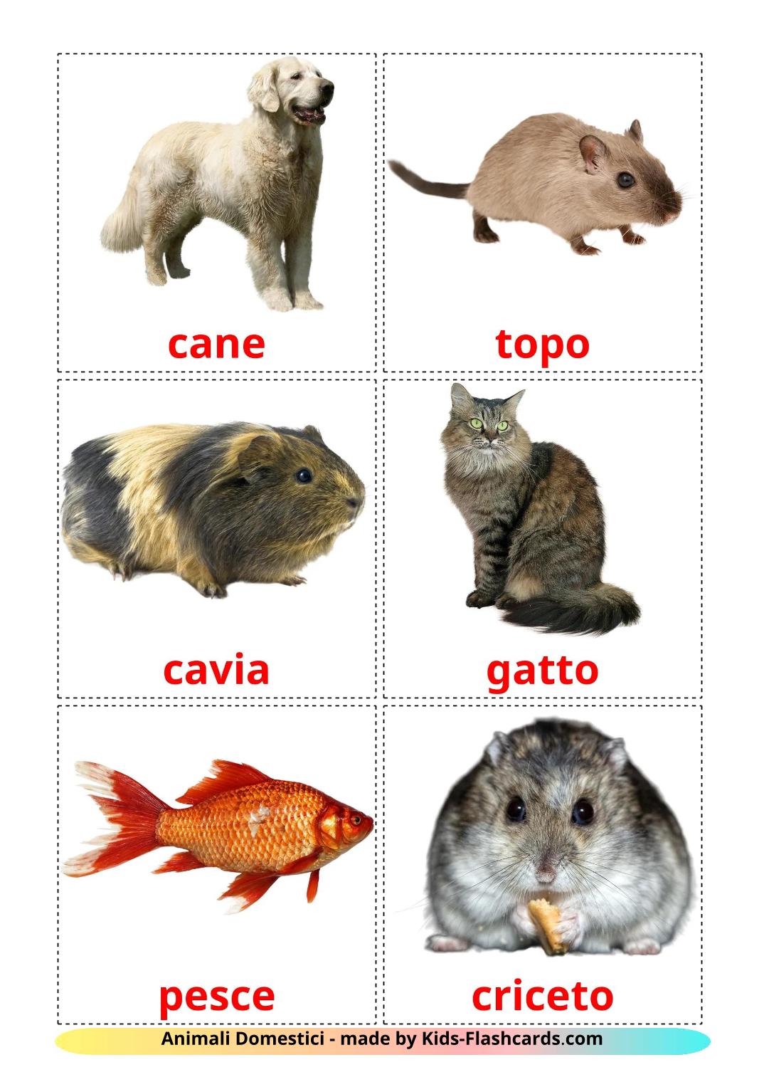 Les animaux Domestiques - 11 Flashcards italien imprimables gratuitement