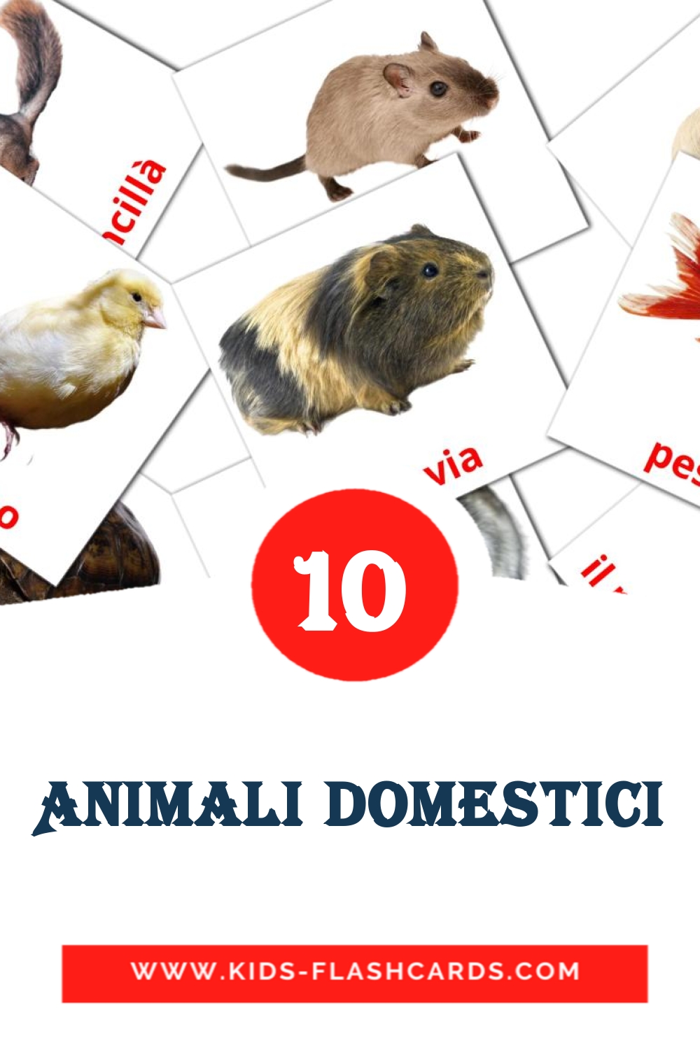 10 carte illustrate di Animali Domestici per la scuola materna in italiano
