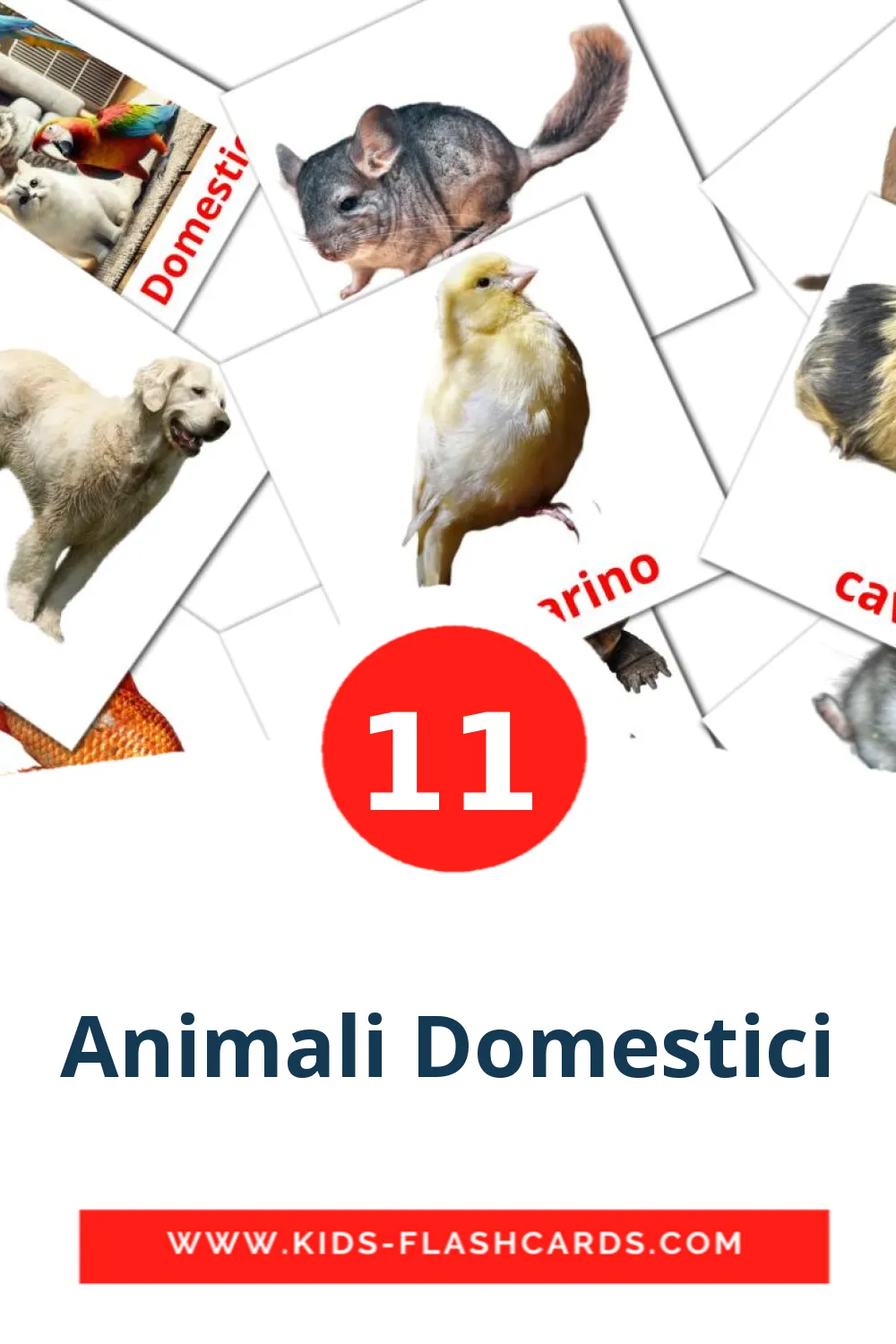 11 cartes illustrées de Animali Domestici pour la maternelle en italien